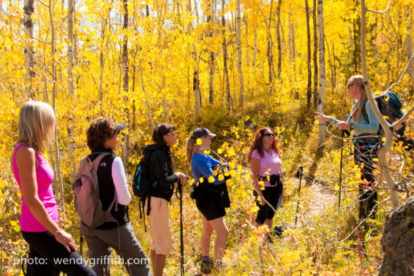 women's group hike in yellow aspen near vail colorado