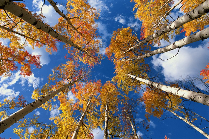 What is the connection between your inner power and the natural world?